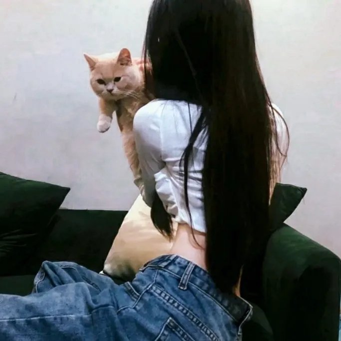 天才骗子