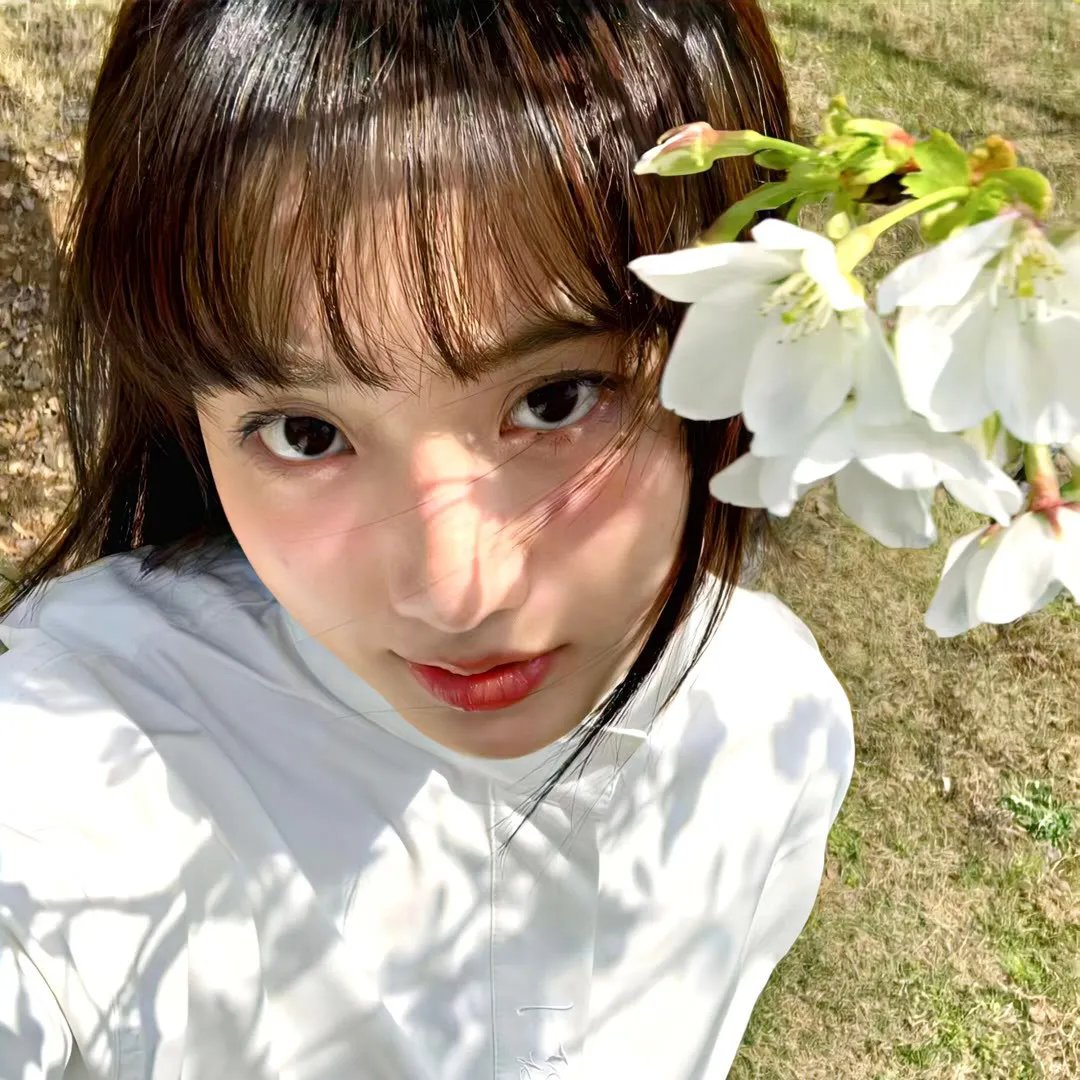 机动部队2019粤语